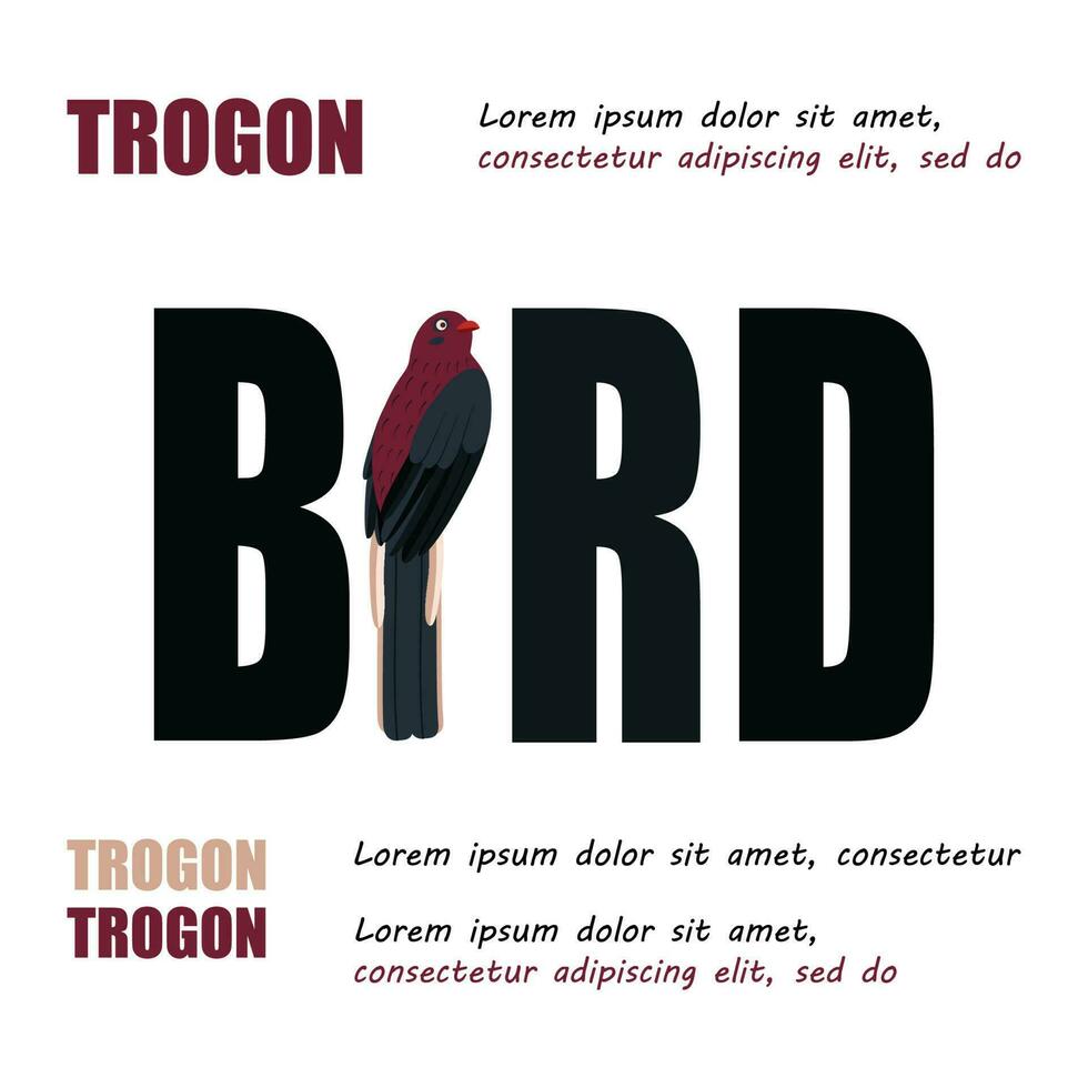 Poster, banner with trogon bird and text. Poster layout design. vector