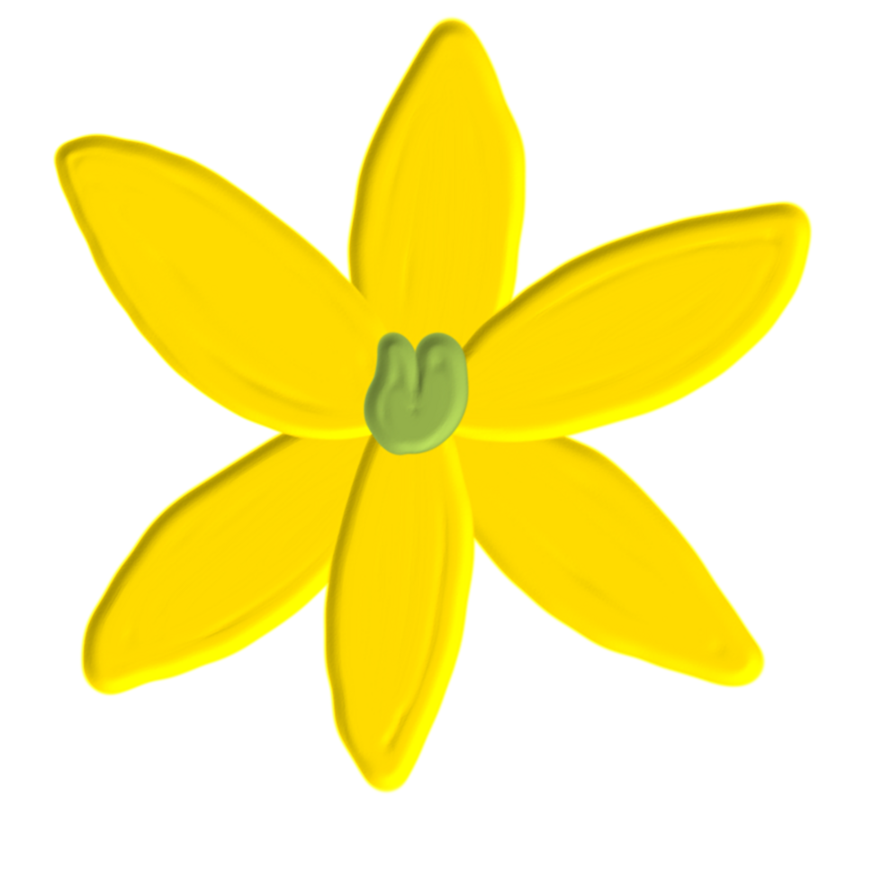 hand drawn painterly flower 24223307 PNG