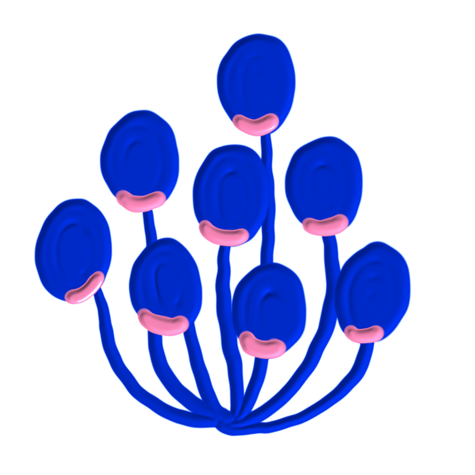 hand drawn painterly flower png