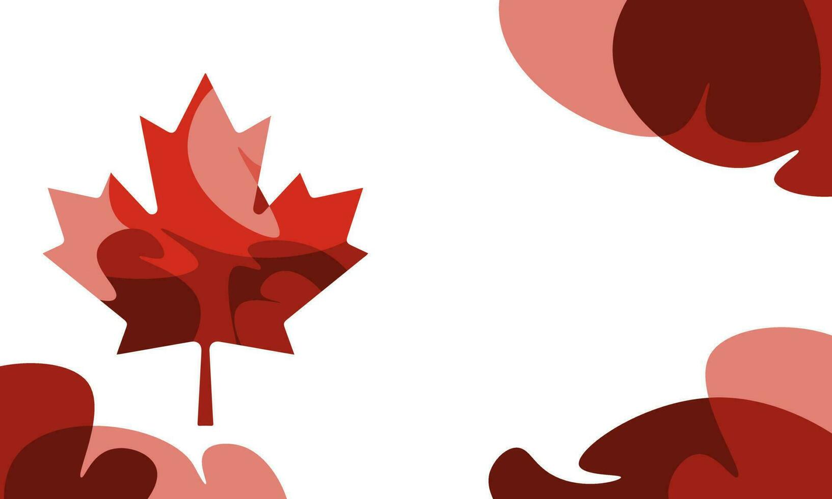 Vector canada day background with fluid wavy red maple and copy space for your text. Template design for social media, banner, card