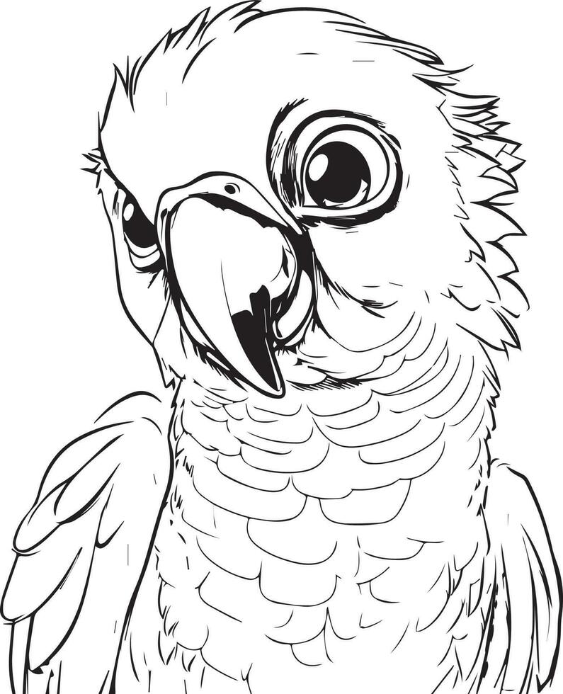 Parrot bird illustration, cute parrot coloring page for kids and adult, parrot mascot logo, parrot bird vector design