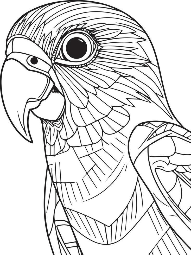 Parrot bird illustration, cute parrot coloring page for kids and adult, parrot mascot logo, parrot bird vector design