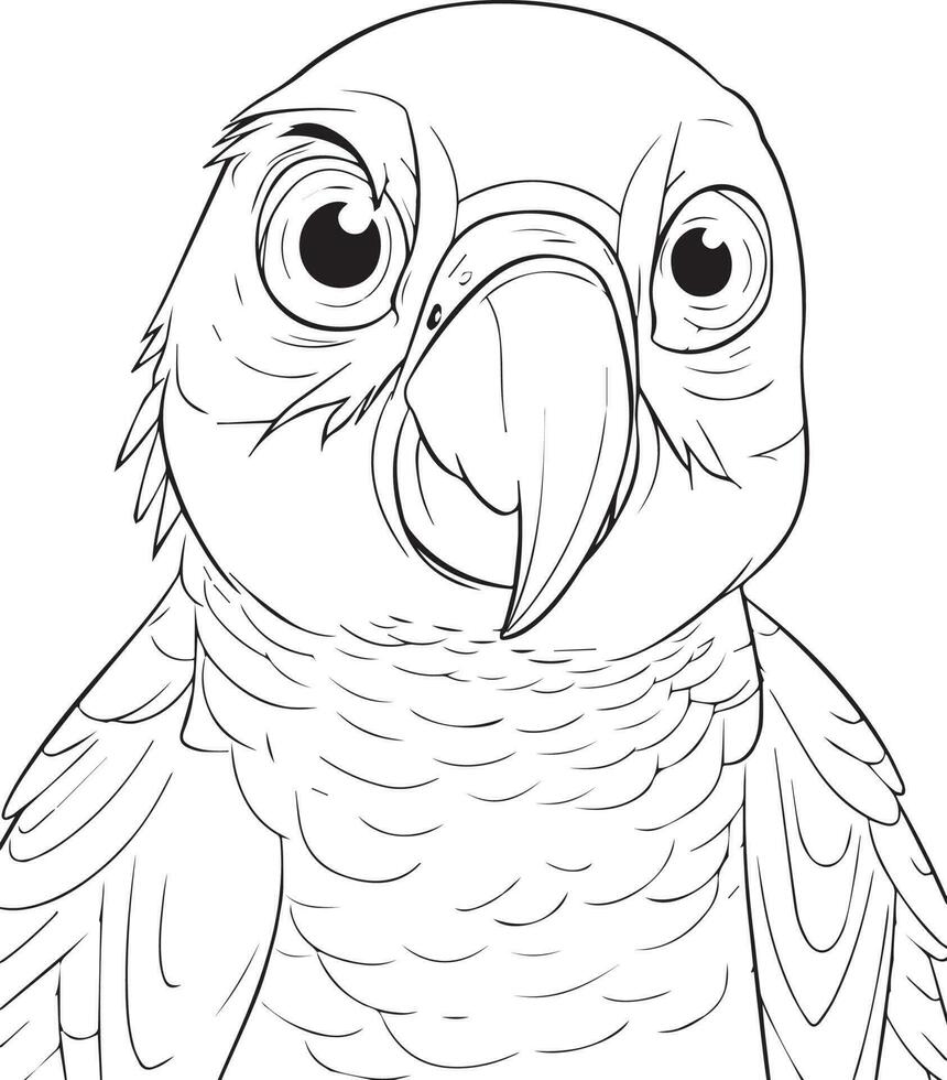 Parrot bird illustration, cute parrot coloring page for kids and adult, parrot mascot logo, parrot bird vector design