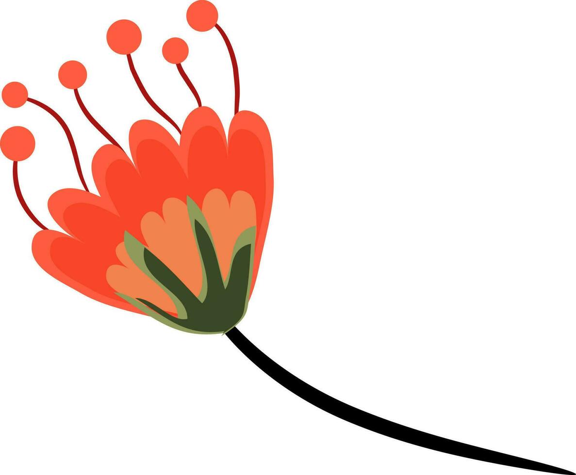 Illustration of beautiful flower. vector