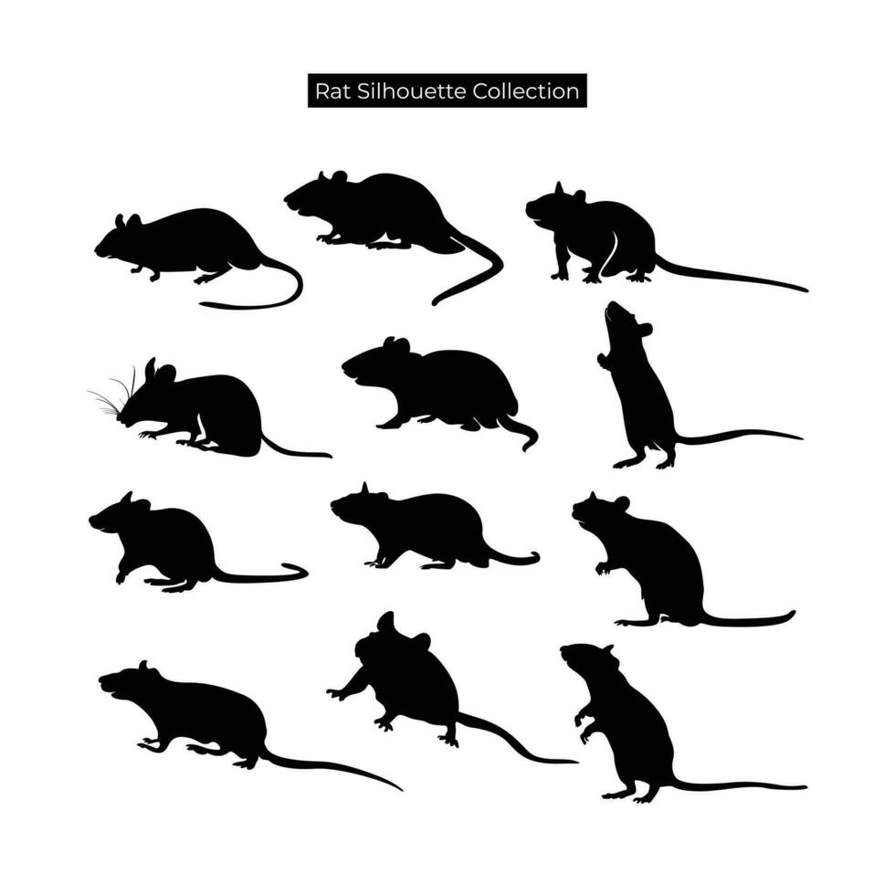 Rat silhouette set. Black silhouettes of mice. Vector illustration.