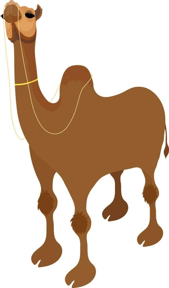 Illustration of a camel. vector