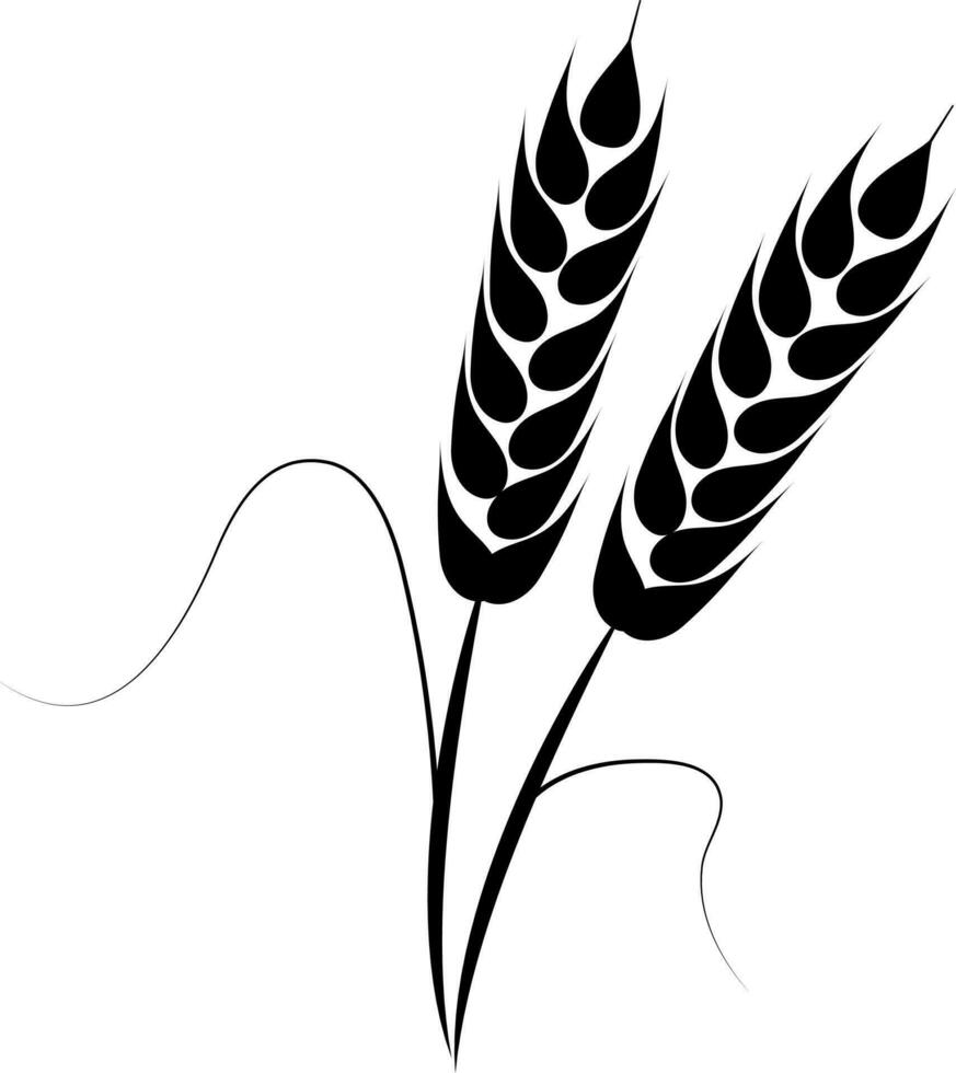 Illustration of Wheat Ears. vector