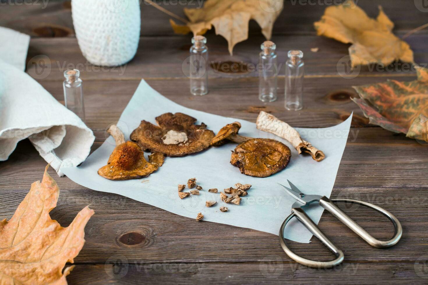 Dried chopped amanita on parchment and scissors on a wooden table. Microdosing and Alternative Medicine. photo