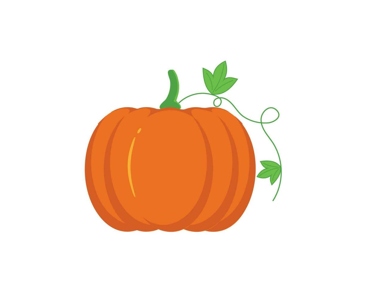 Pumpkin illustration design with orange color vector