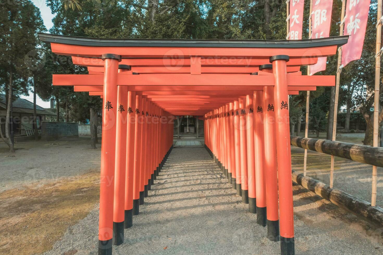 Tunnel of Torri gate in Japanese shrine photo