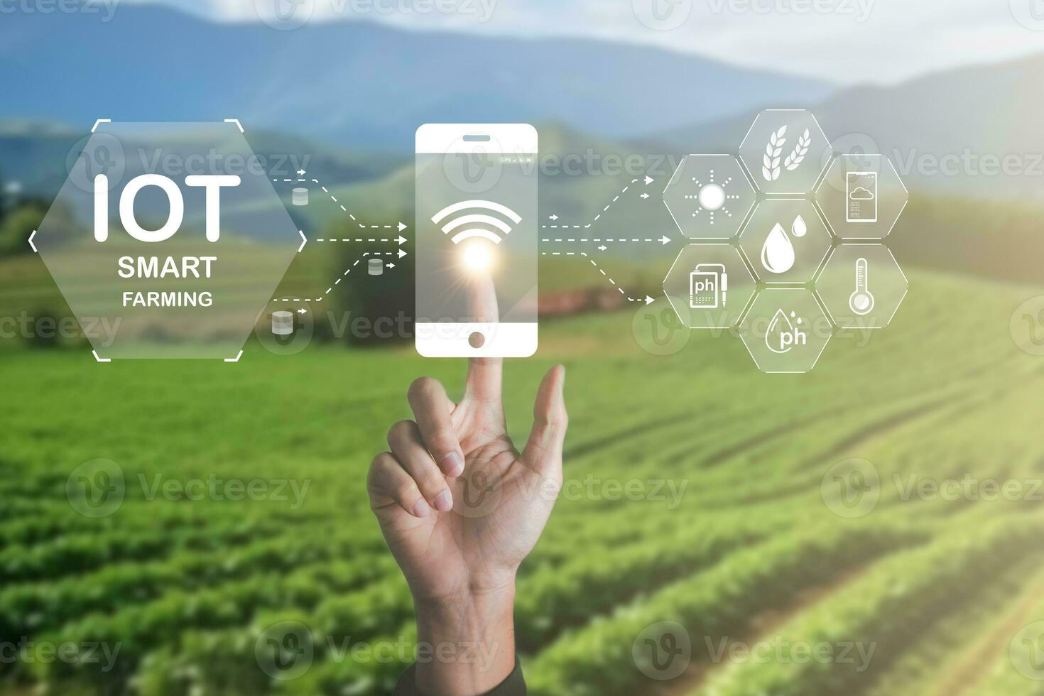 Smart Farming using IOT Internet Of Thinking technology and analysis with AI artificak intelligence help to improvement, research and development productivity of farming. photo