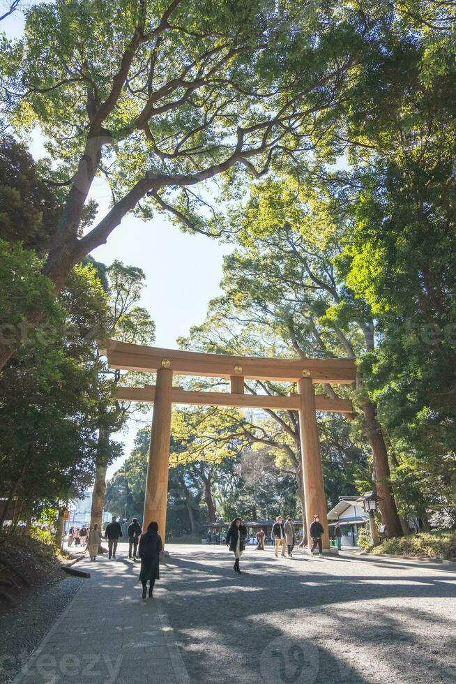 Meiji Jingu shrine torii gate in Tokyo Japan. photo