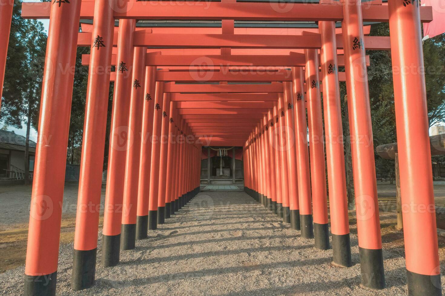túnel de torri portón en japonés santuario foto