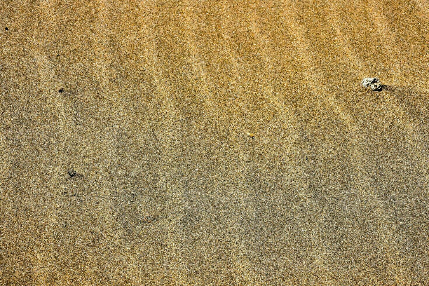 Beach sand close-up photo