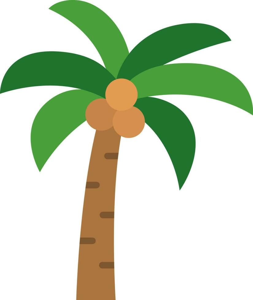 Coconut Tree icon vector image.