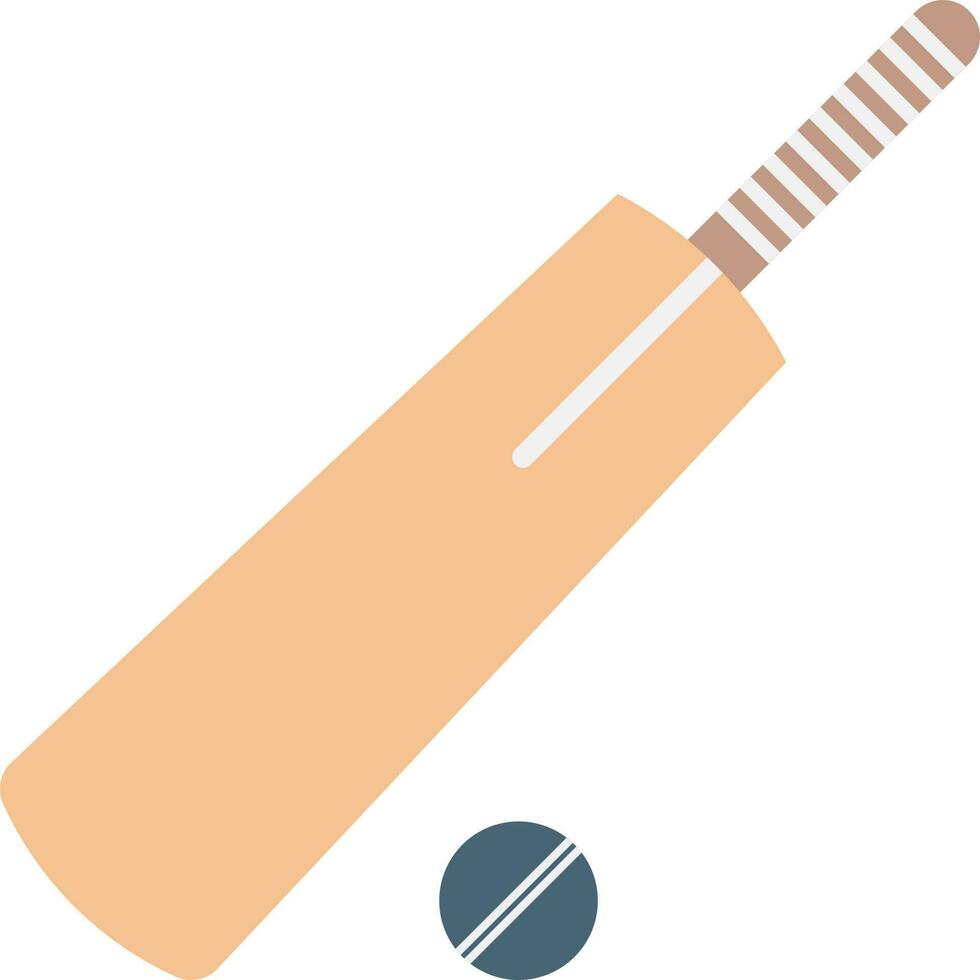 Cricket icon vector image.