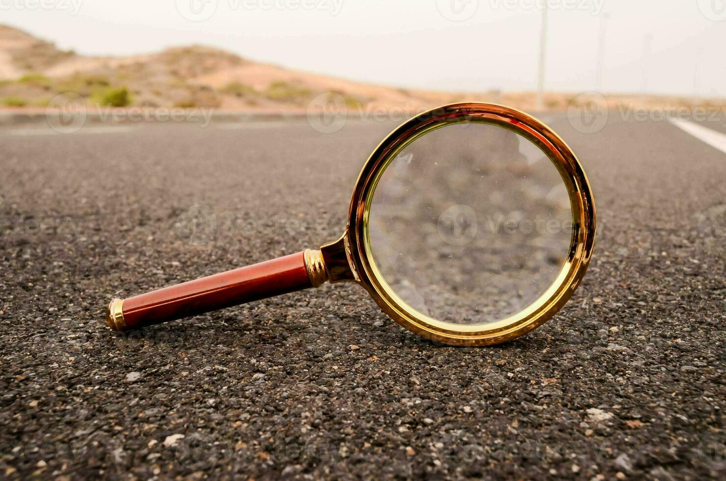 Magnifying glass on the roas photo