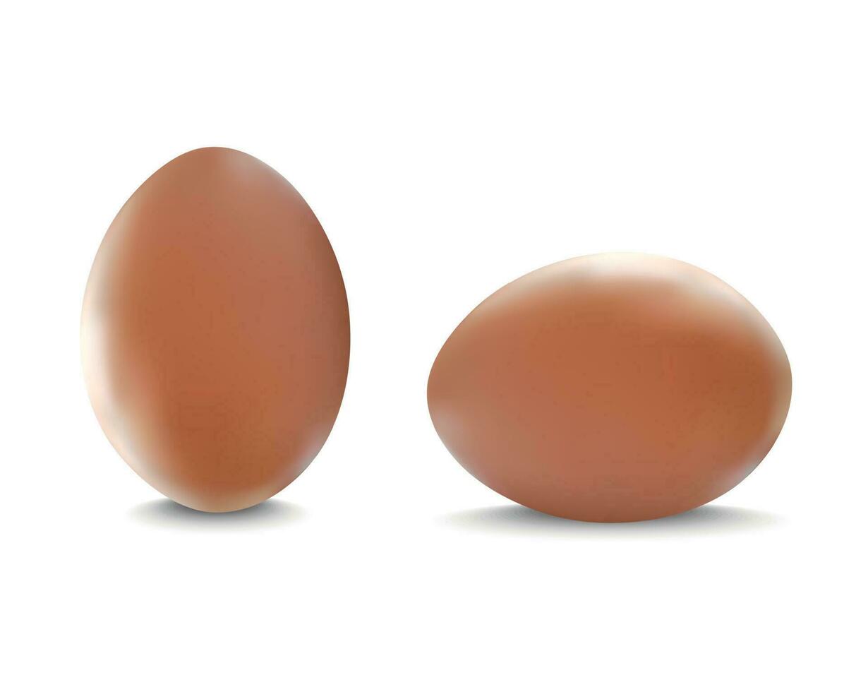 Realistic Detailed 3d Chicken Eggs Set. Vector