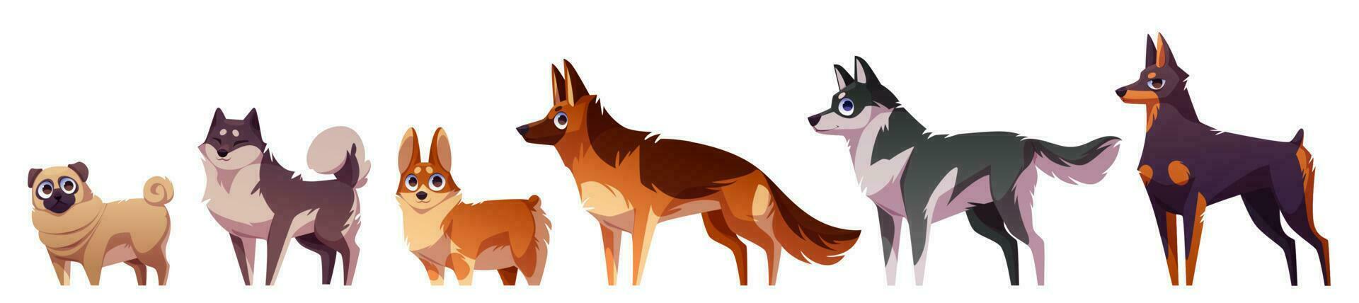 dibujos animados conjunto de perro razas aislado en blanco vector
