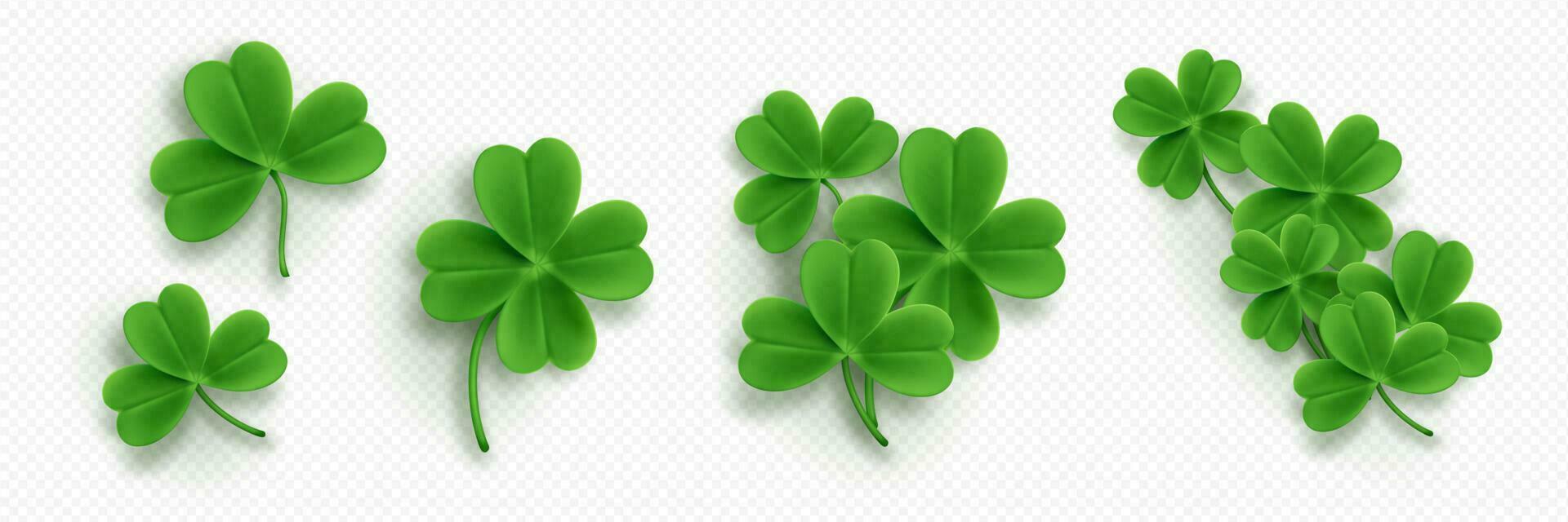 Realistic set of clover leaves vector