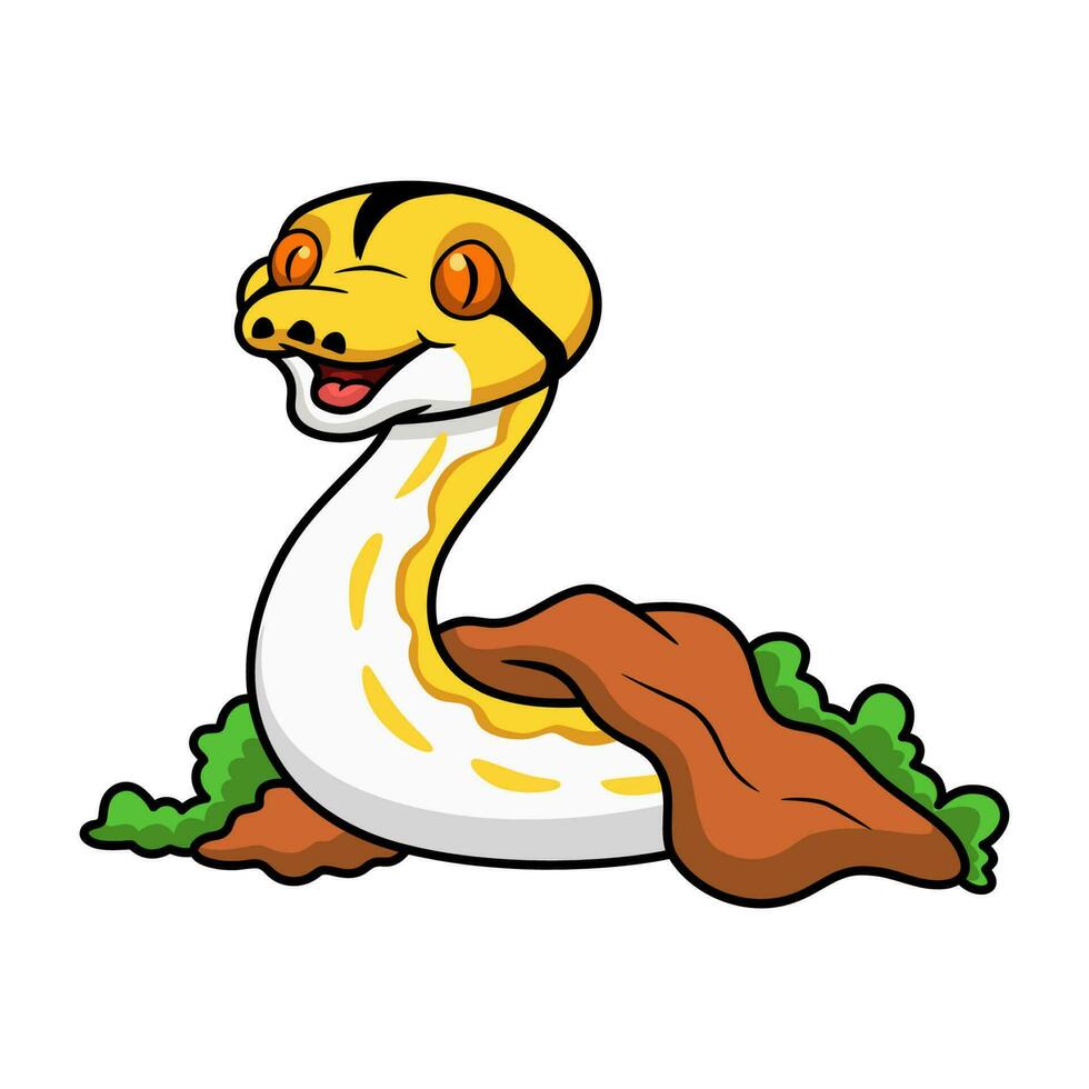 Cute albino tiger reticulated python cartoon out from hole vector