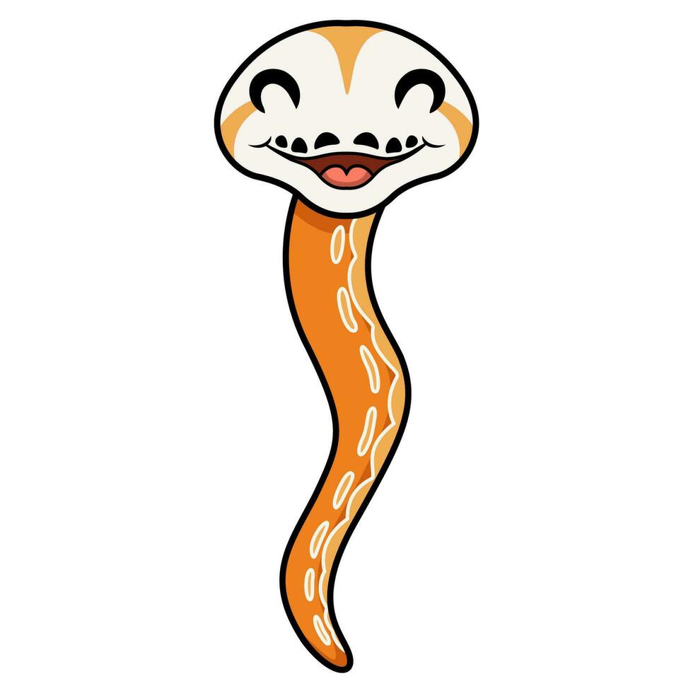 Cute albino sunfire tiger het genetic stripe reticulated python vector