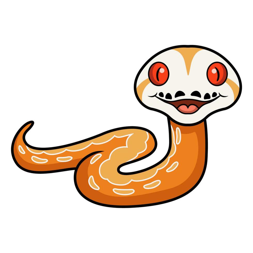 Cute albino sunfire tiger het genetic stripe reticulated python vector