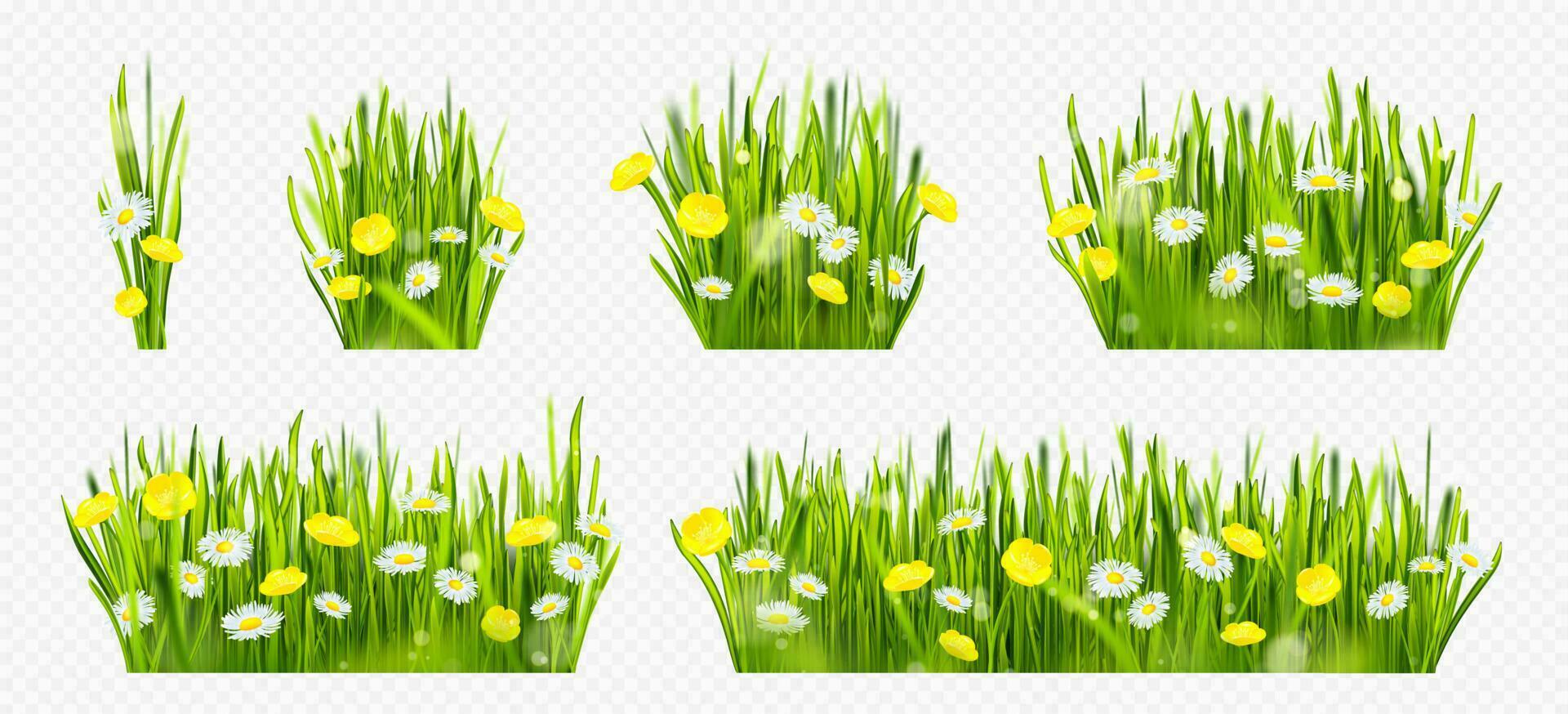 Realistic spring green grass field with flowers vector