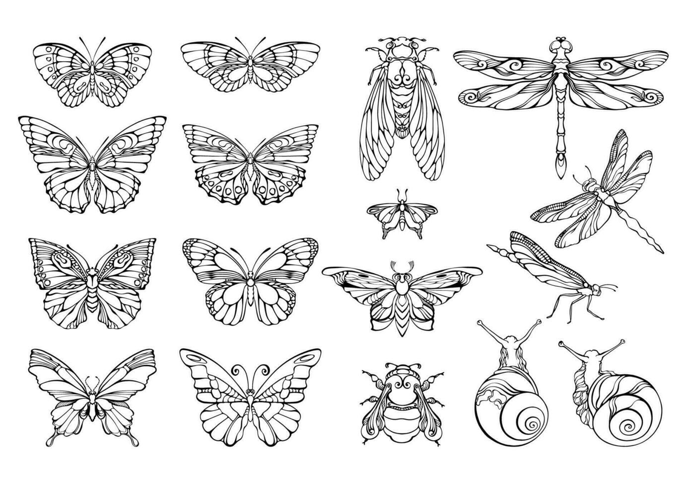 colección de contorno mariposas, libélulas, abejorros, y caracoles. vector ilustraciones.