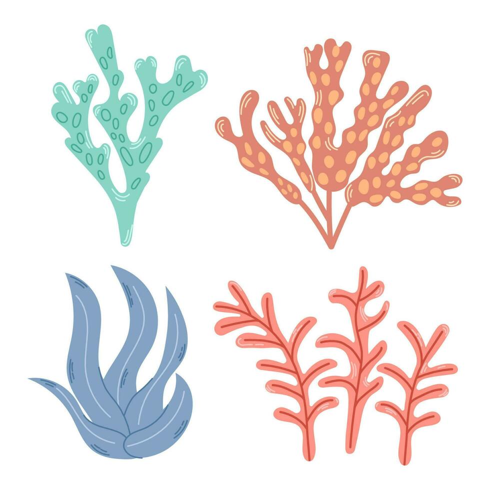 Hand drawn colorful coral and seaweed collection. Modern flat illustration. vector