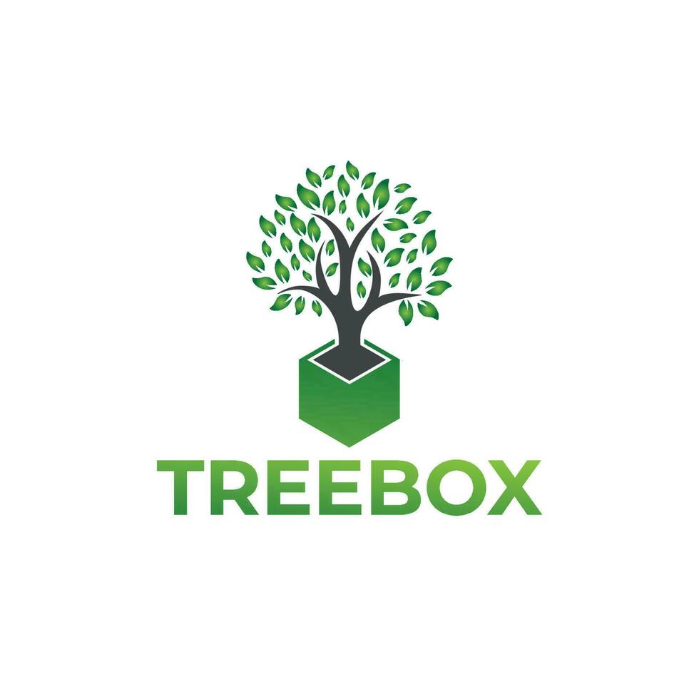 Vector Tree BOX logo design vector creative TREE logo concepts template illustration