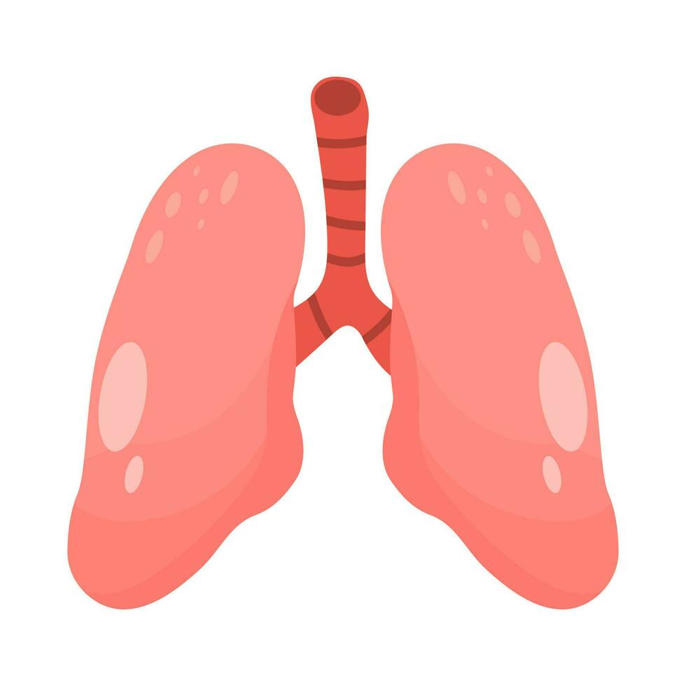 human Lungs vector clip art icon. COPD vector illustration, chronic obstructive pulmonary explanation