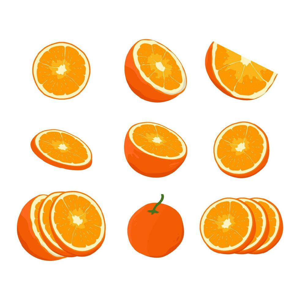 Mandarin fresh Orange fruits, leaves vector element. Set of whole, cut in half, sliced on pieces Orange Juice