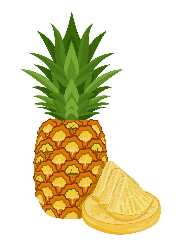 Set of pineapple isolated on white background leaves vector element. Set of whole, cut in half, sliced on pieces