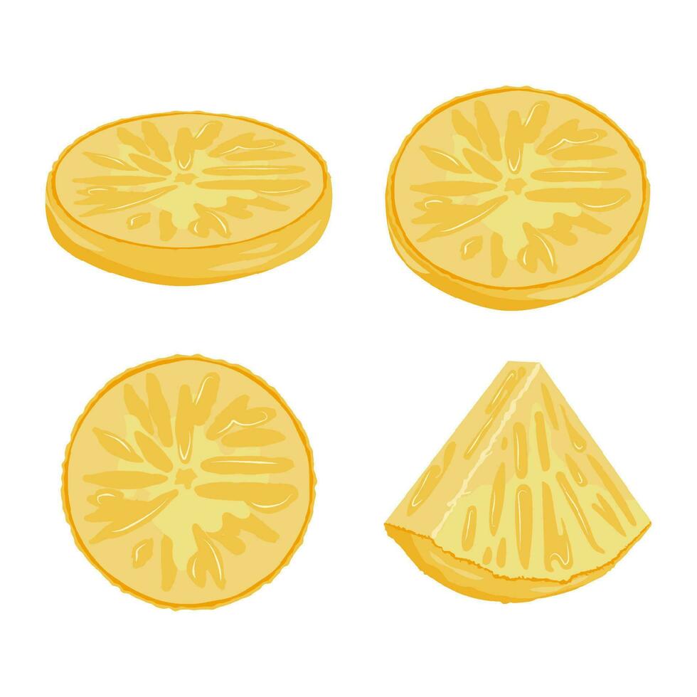 Set of pineapple isolated on white background leaves vector element. Set of whole, cut in half, sliced on pieces