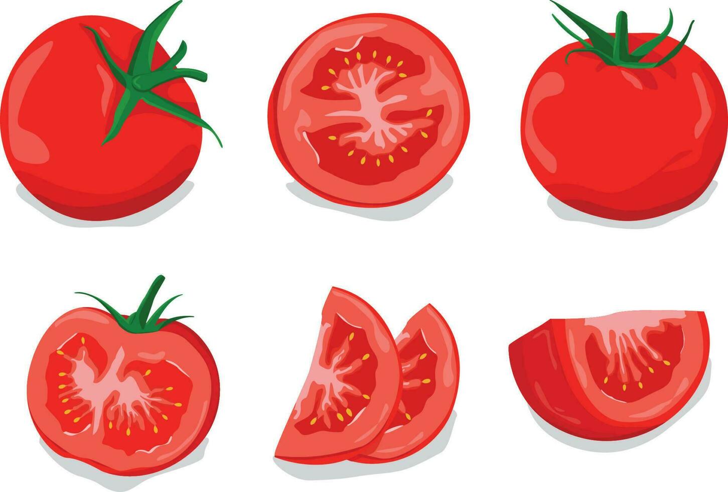 conjunto de rojo Tomates vector gratis diseño, Fresco tomate rebanada Fruta