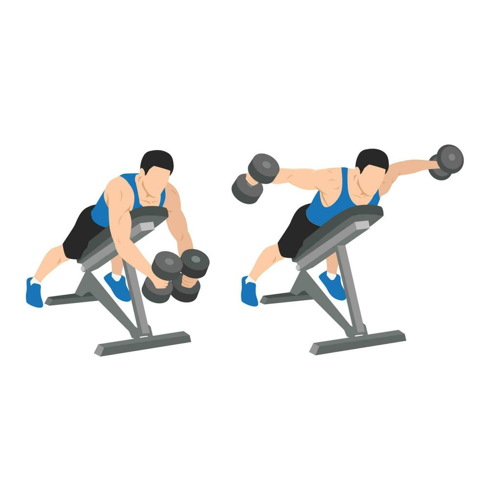 Man doing Dumbbell bent over chest supported reverse flyes. vector