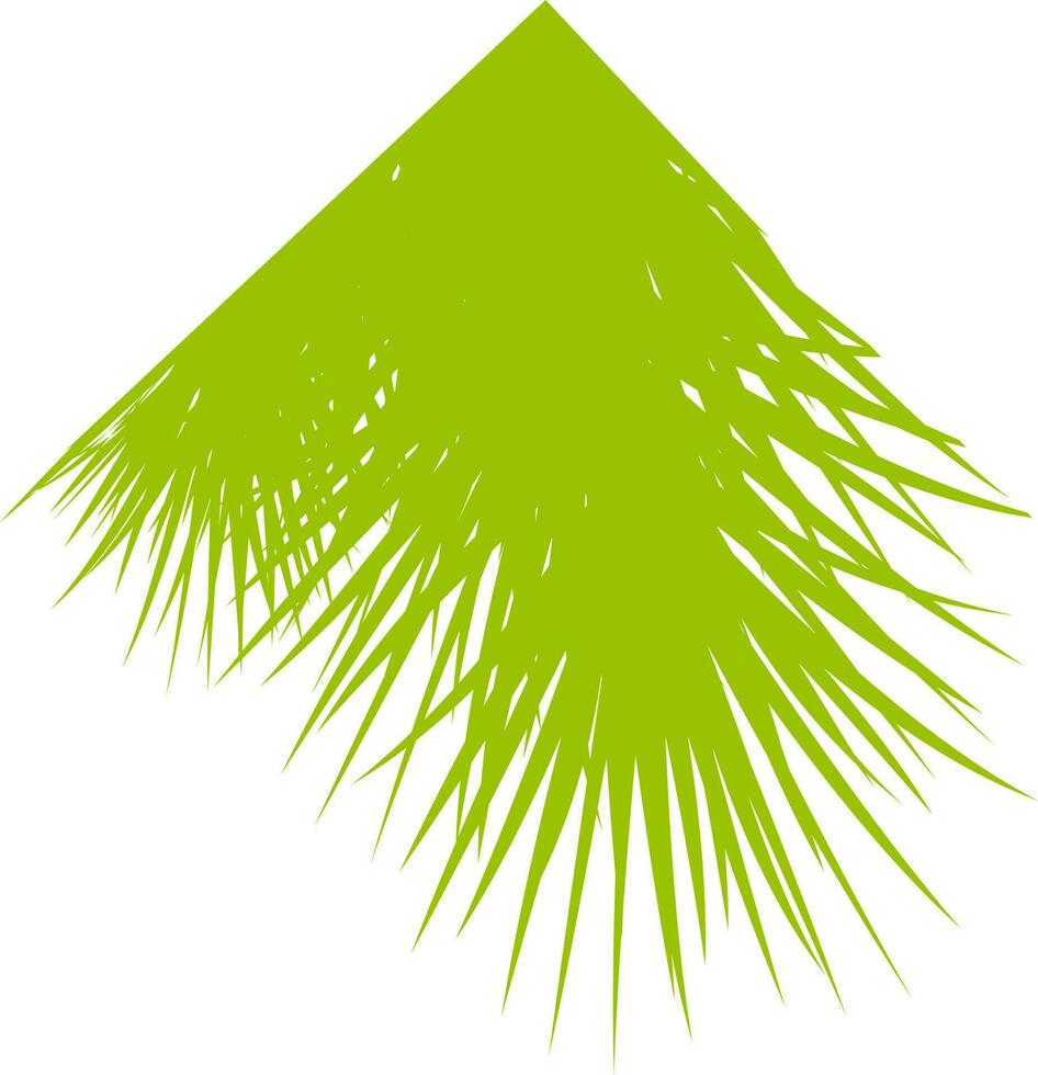 Illustration of a green fir tree branch. vector