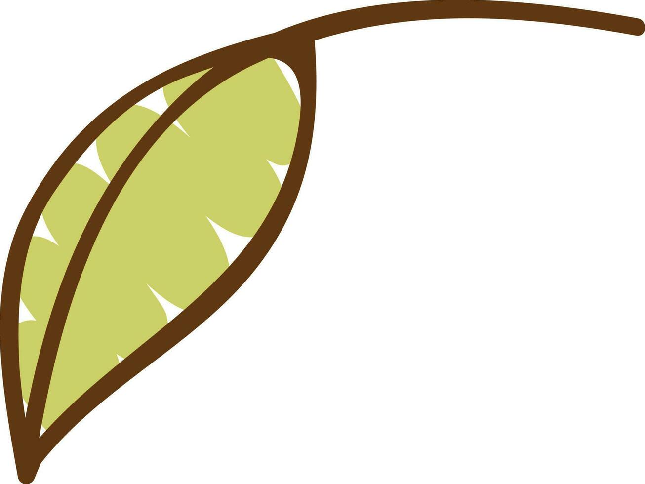 Illustration of a leaf. vector