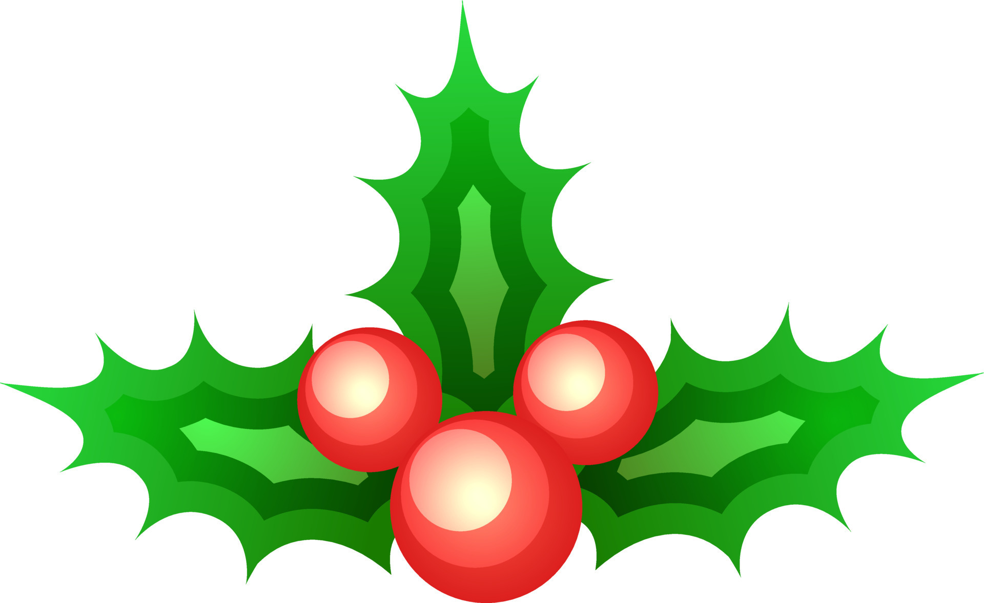 Vector illustration of holly berries. 24237055 Vector Art at Vecteezy