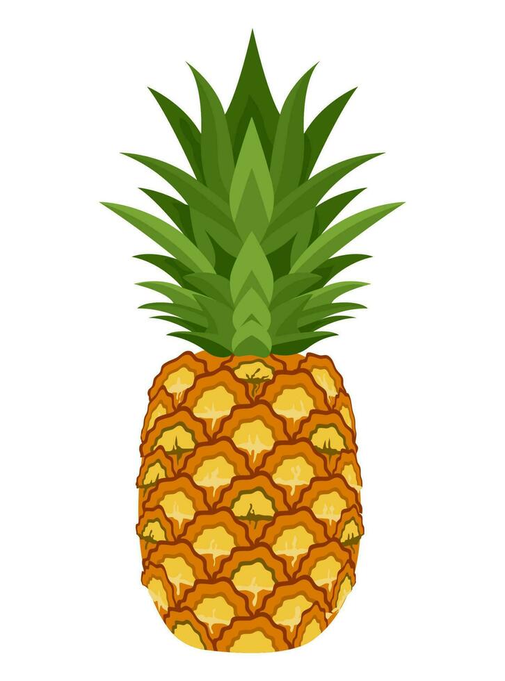 Set of pineapple isolated on white background leaves vector element. Set of whole, cut in half, sliced on pieces