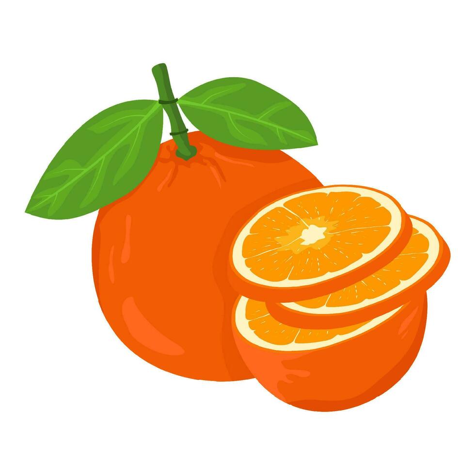 Mandarin fresh Orange fruits, leaves vector element. Set of whole, cut in half, sliced on pieces Orange Juice