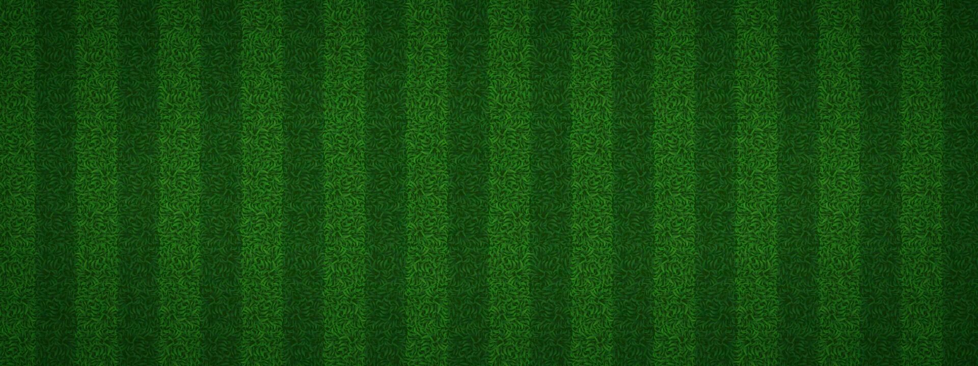 Football green grass stadium texture top view vector