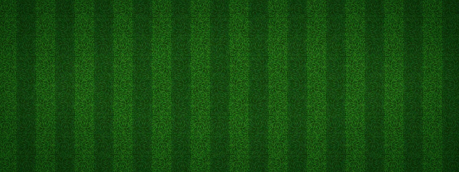 Football green grass stadium texture top view vector