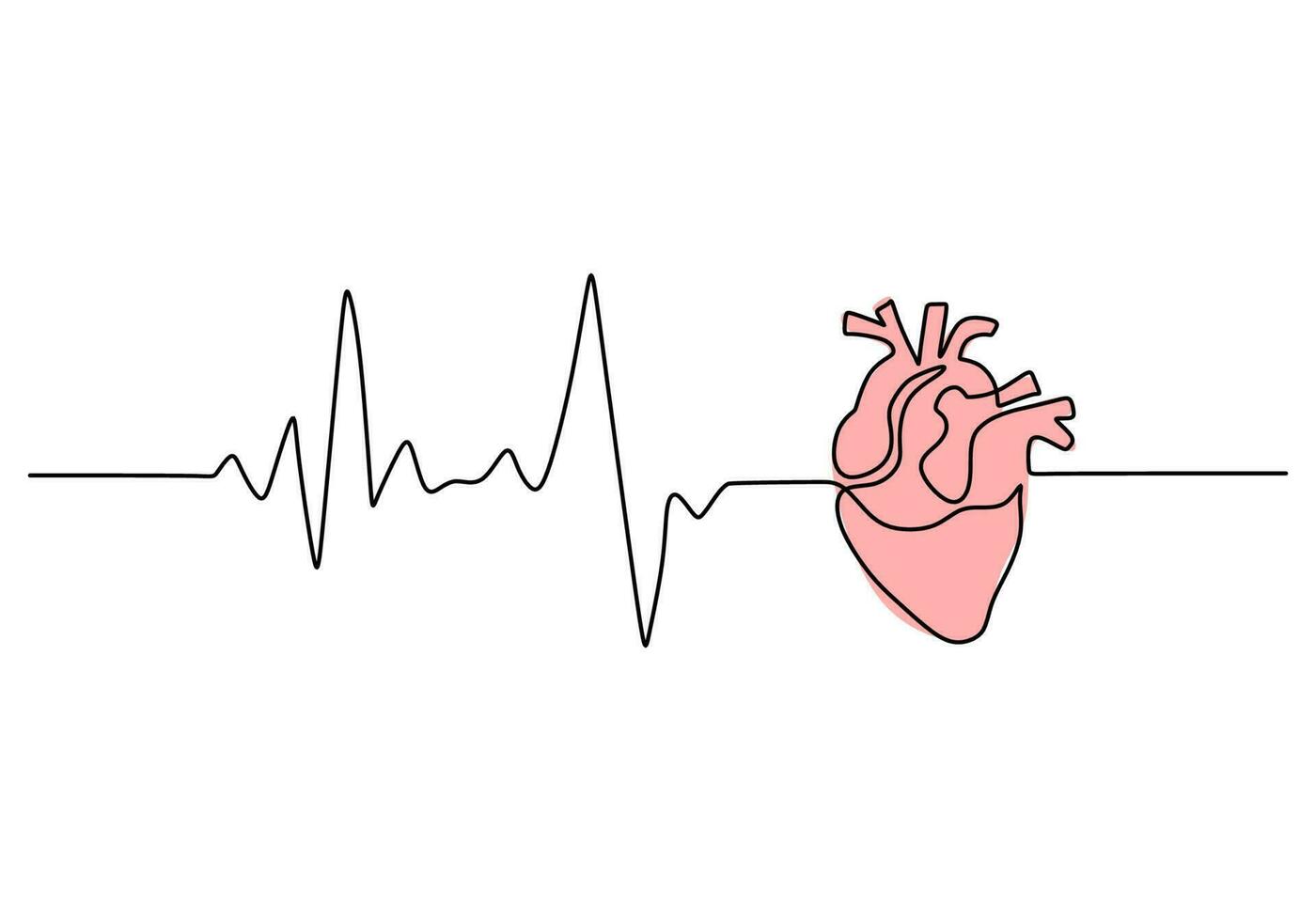 One continuous single line drawing of heart beat on white background. vector