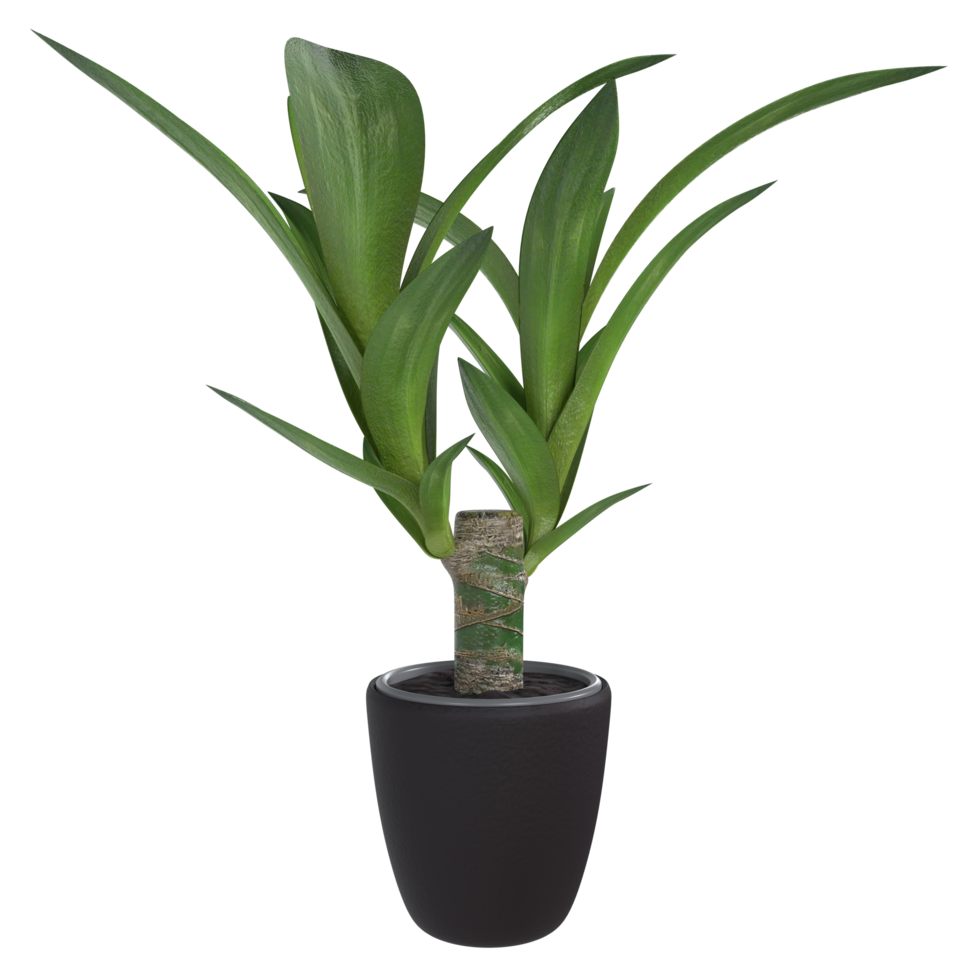 3D Rendering Of Plant Pot png