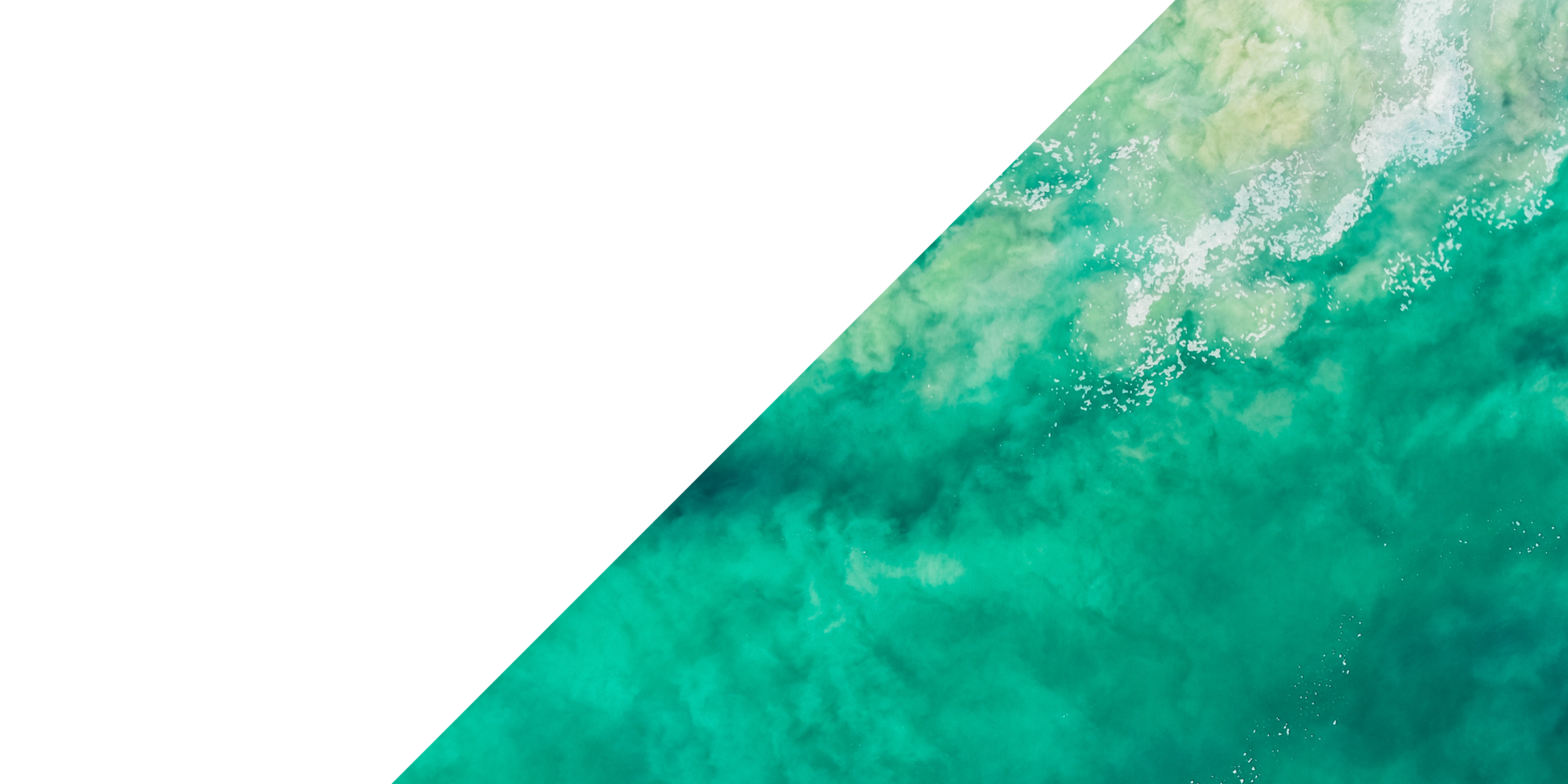 transparent-texture-background-24239507-png
