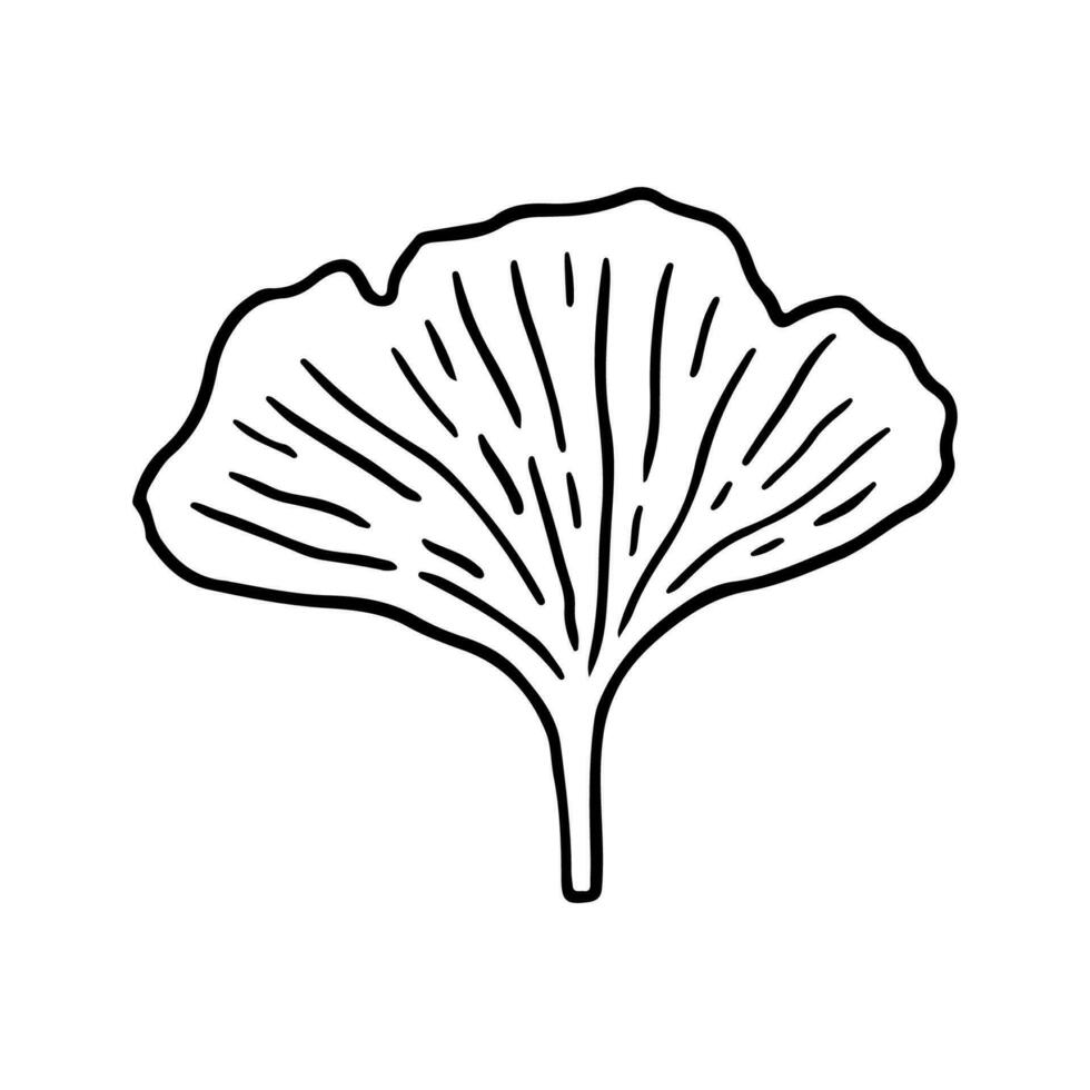 Ginkgo biloba leaf isolated on white background. Vector hand-drawn illustration in outline style. Perfect for cards, decorations, logo,  various designs.