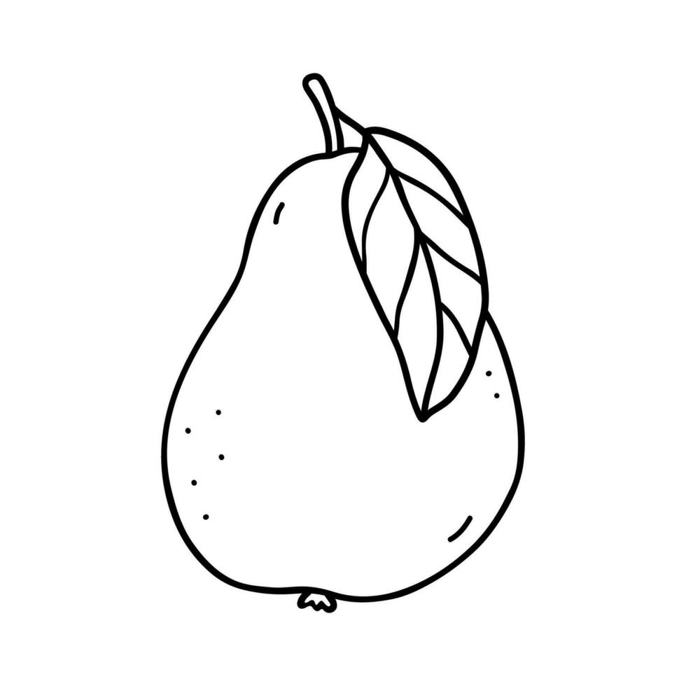 Pear with leaf isolated on white background. Vector hand-drawn illustration in outline style. Perfect for cards, decorations, logo, menu, recipes, various designs.