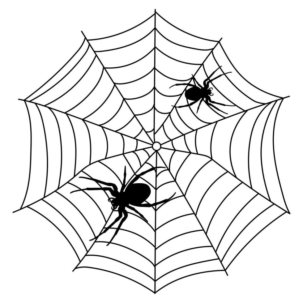 Scary black spider web isolated on white. Spooky halloween decoration. vector